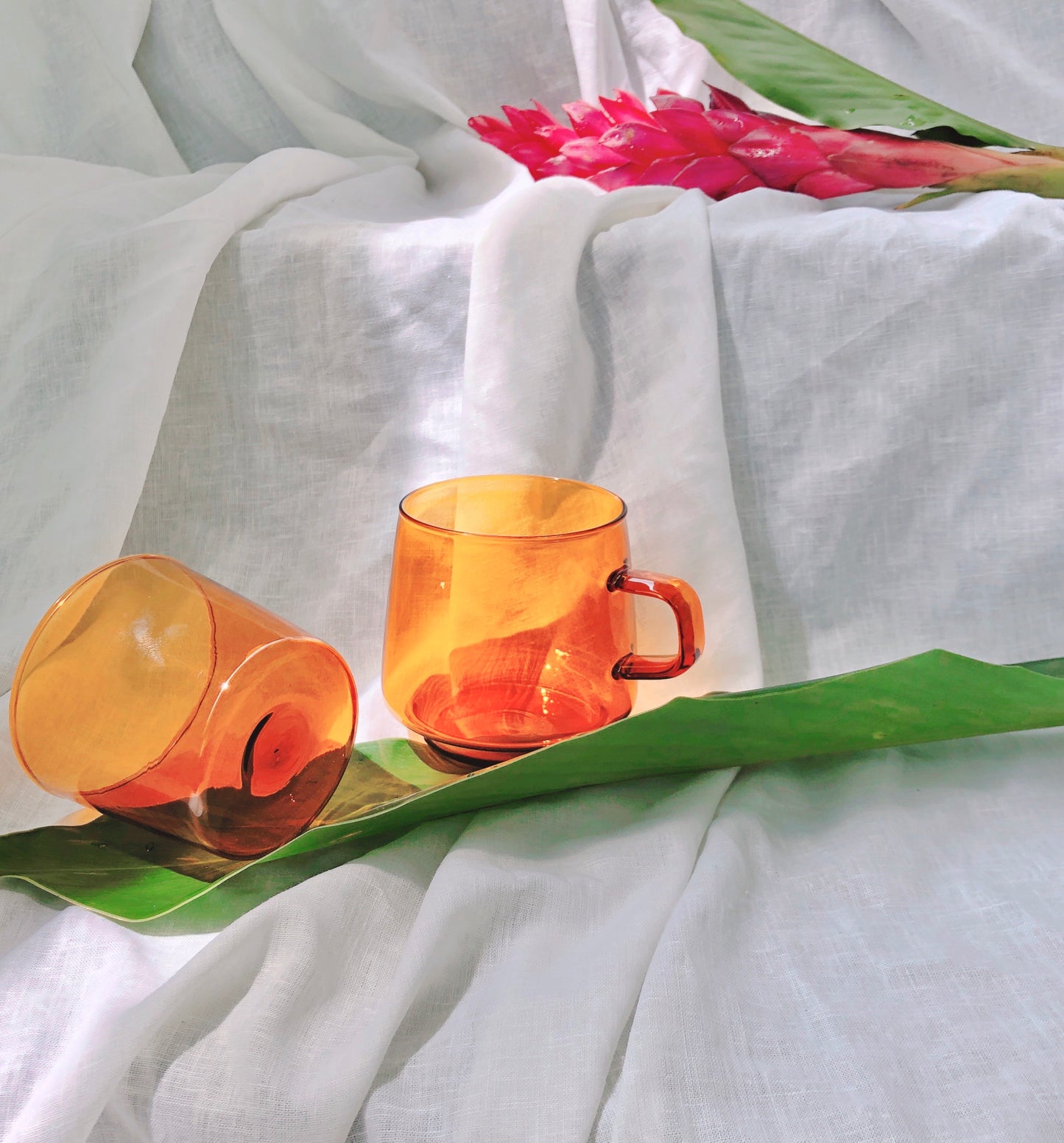 Sepia Collection by PROSE