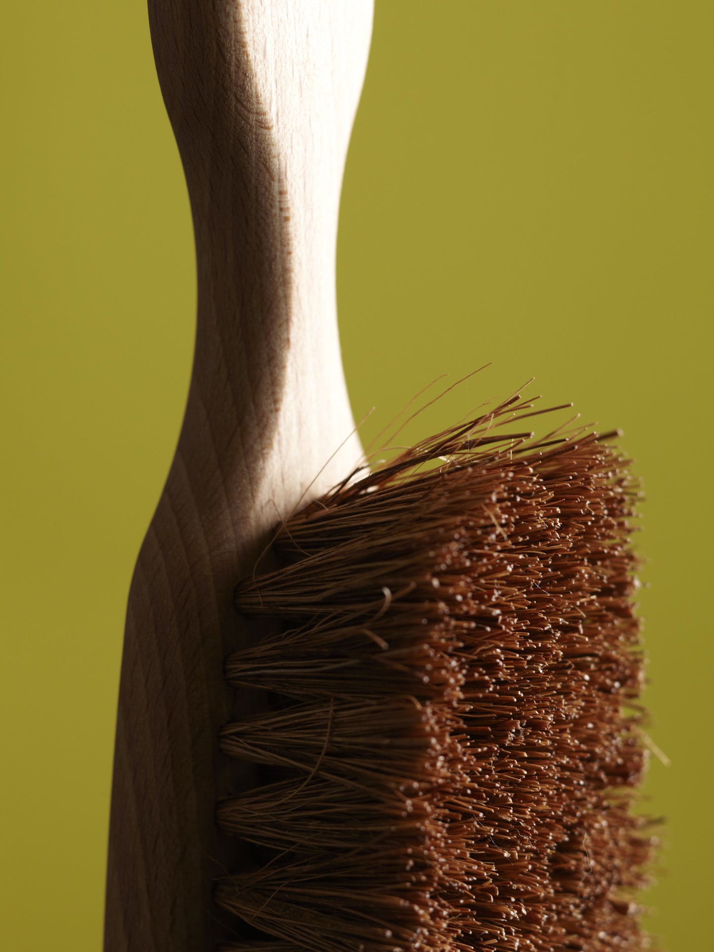 Carpet Brush - Emporium of the Modern Man
- 3