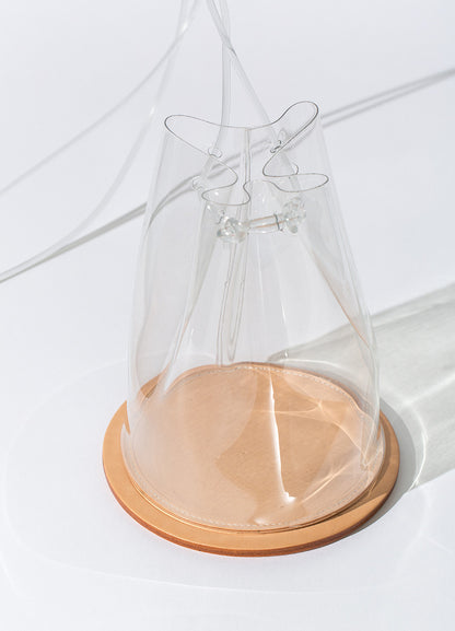 Disc in Clear