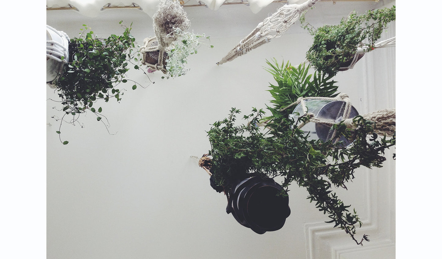 Cold Picnic - Colorblock Plant Hangers