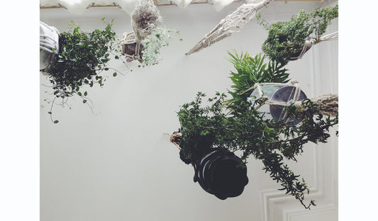 Cold Picnic - Colorblock Plant Hangers