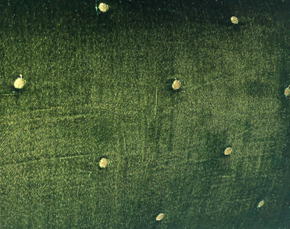 Velvet Square Cushion in Green by PROSE Tabletop