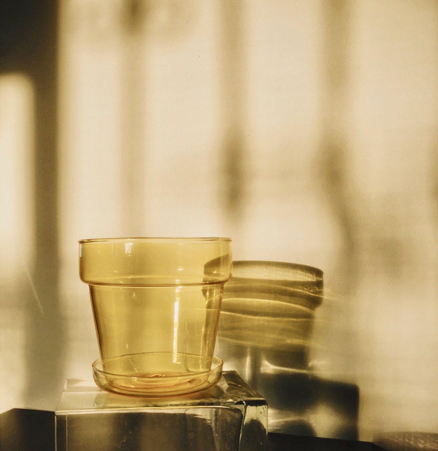 Sunbeam Glass Planter by PROSE Botanical