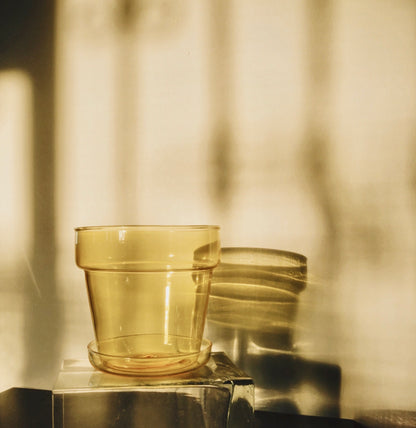 Sepia Collection by PROSE