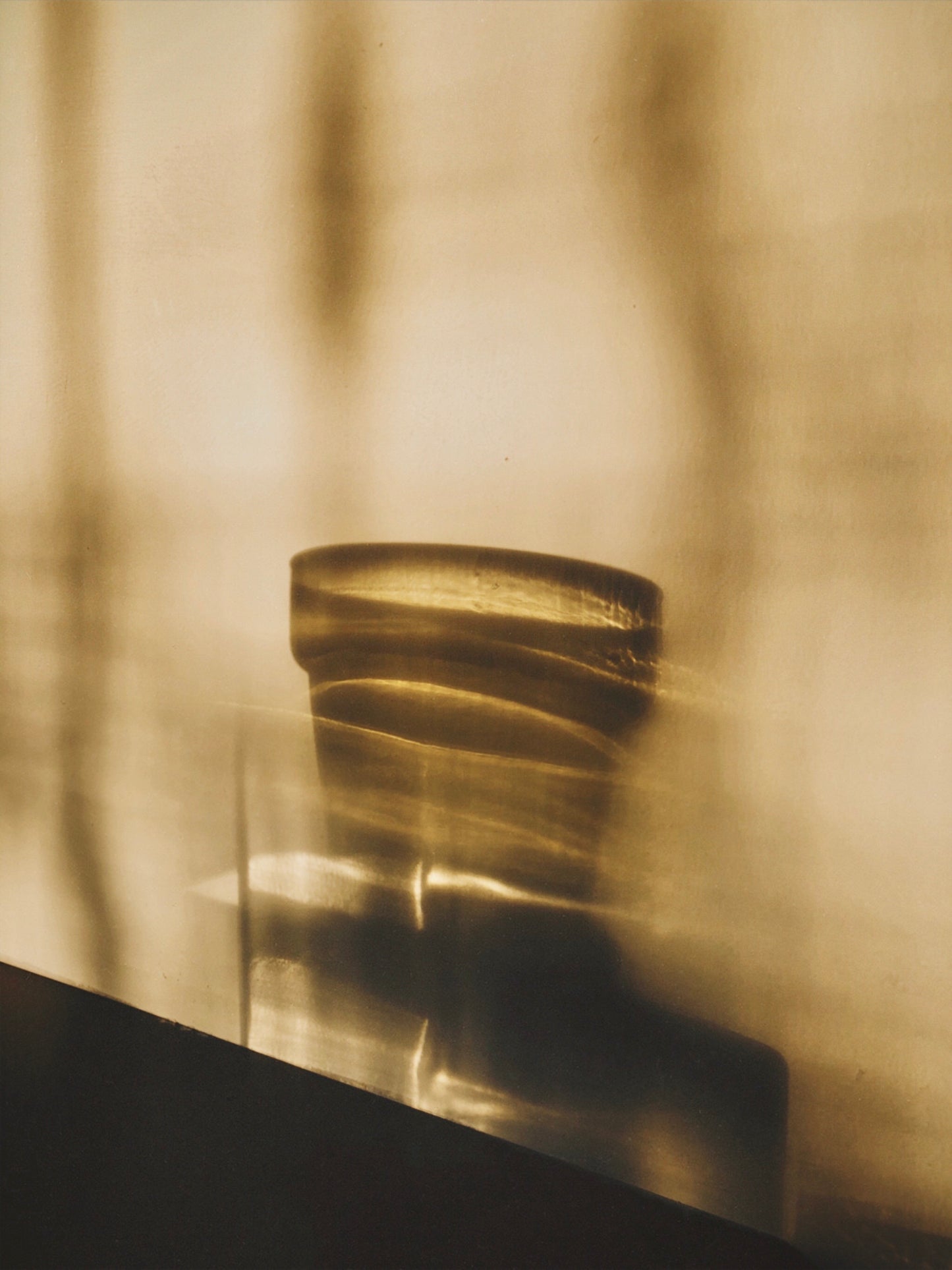 Sepia Collection by PROSE