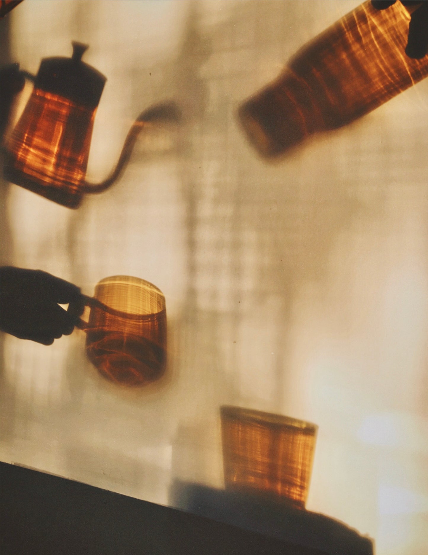 Sepia Collection by PROSE