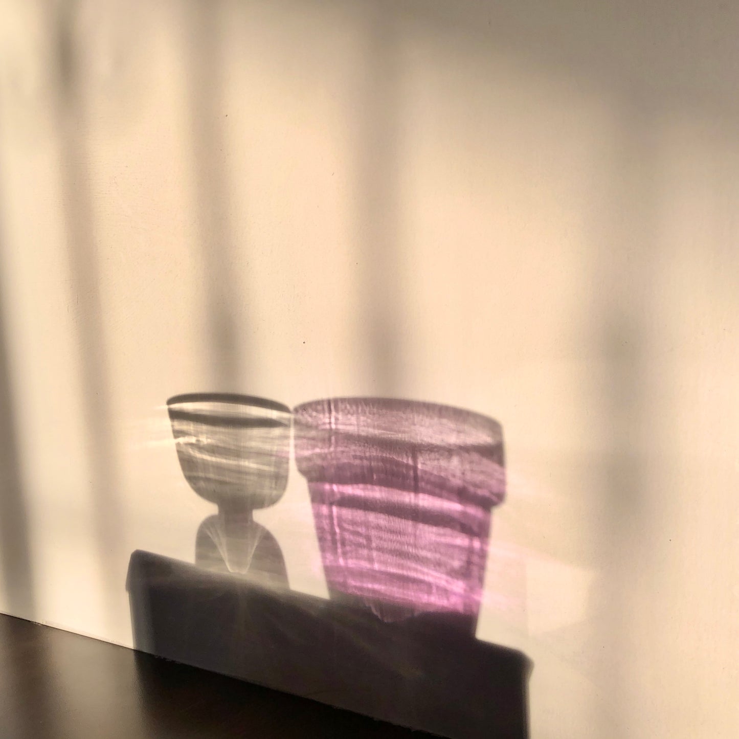 Orchid Glass Planter by PROSE Botanical