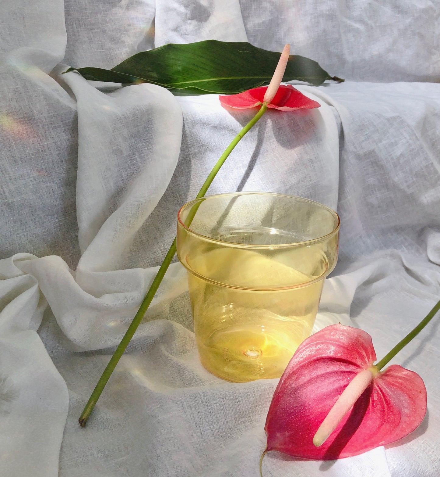 Sunbeam Glass Planter by PROSE Botanical