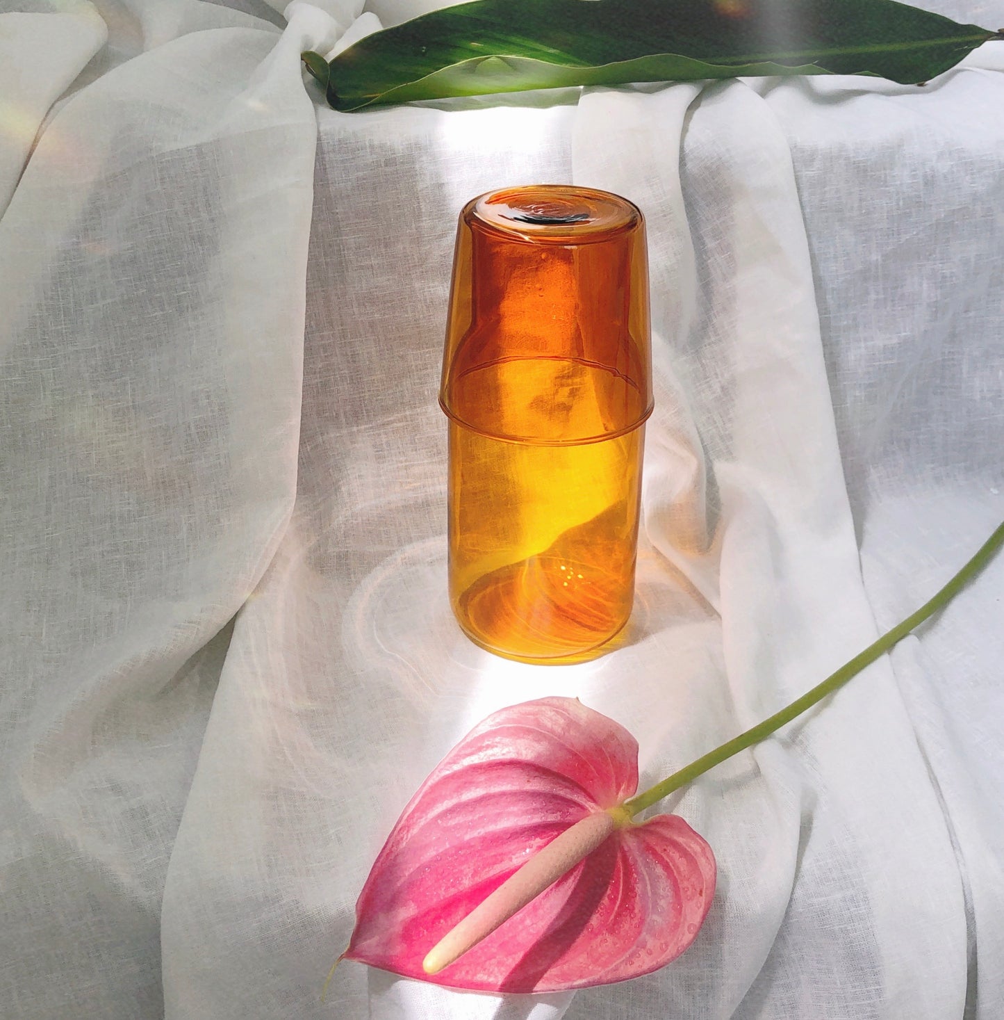 Sepia Collection by PROSE