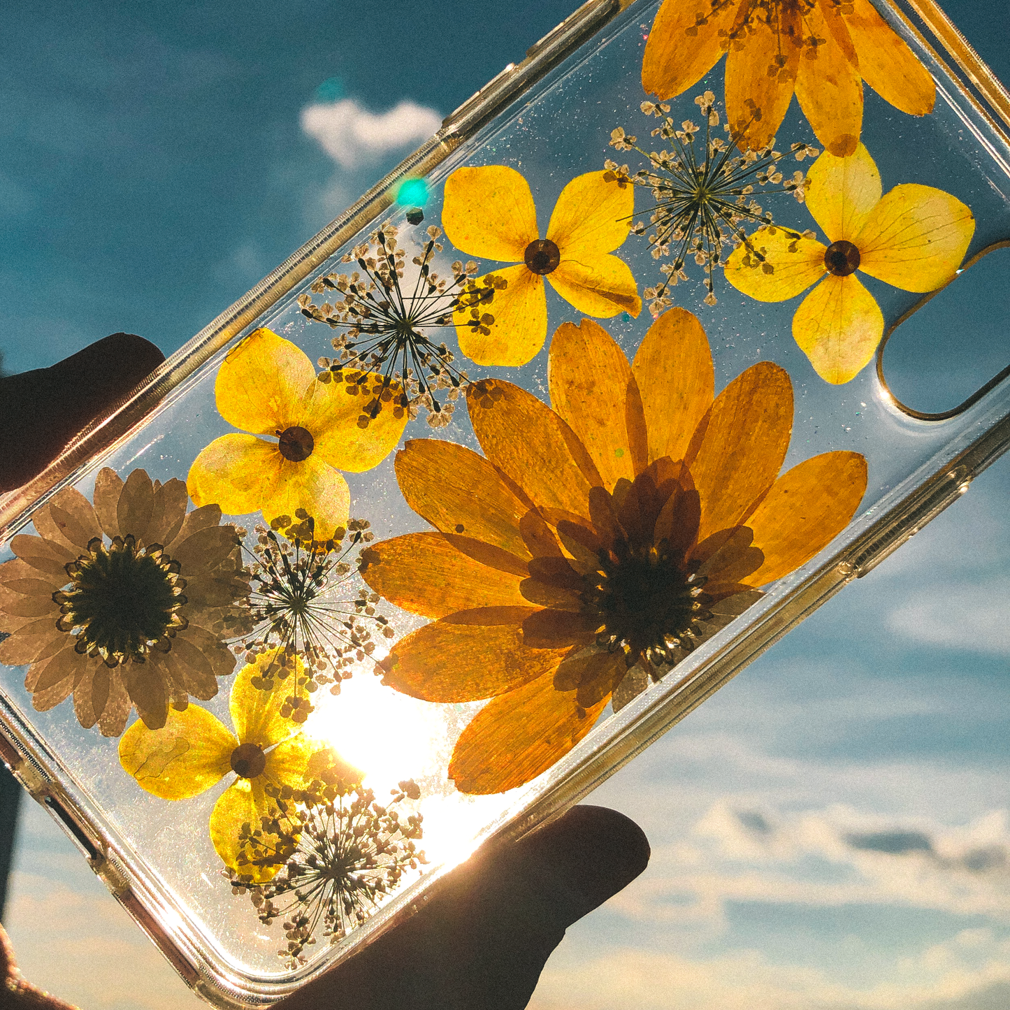 Pressed WildFlower Phone Case (iPhone X/XS)  by Veronique