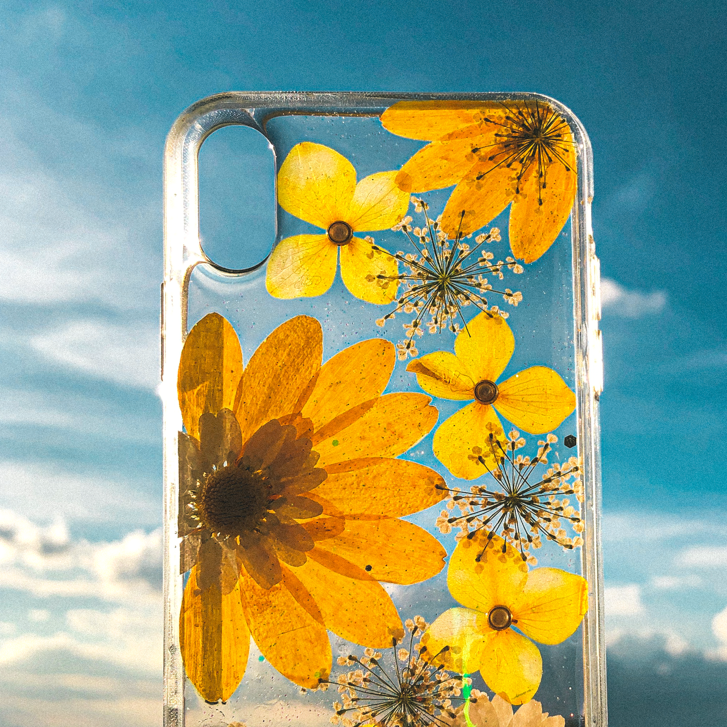Pressed WildFlower Phone Case (iPhone X/XS)  by Veronique