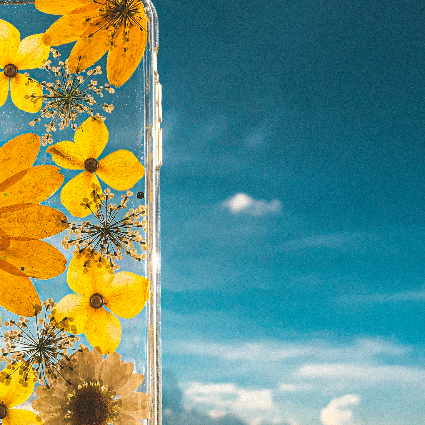 Pressed WildFlower Phone Case (iPhone X/XS)  by Veronique
