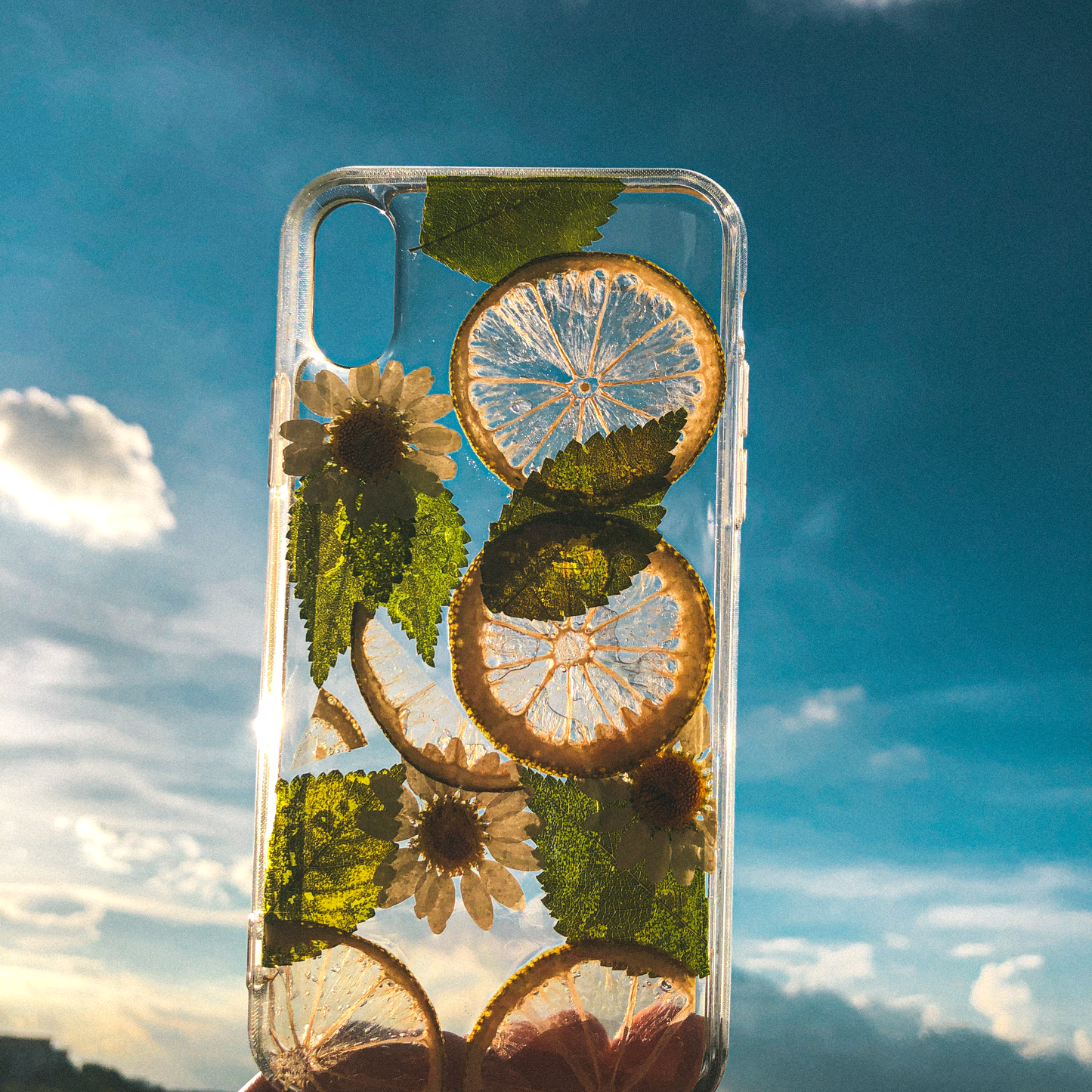 Pressed Lime Phone Case (iPhone X/XS)  by Veronique