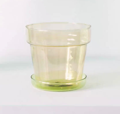 Orchid Glass Planter by PROSE Botanical