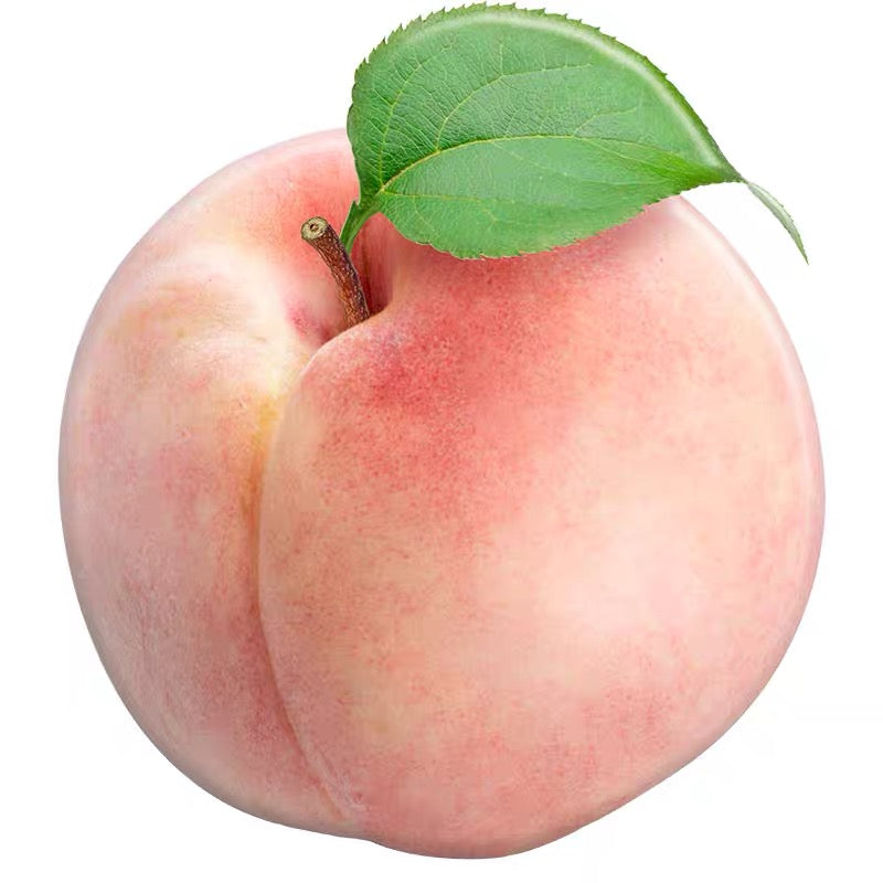 Seasonal Fruits Phone Socket by Veronique