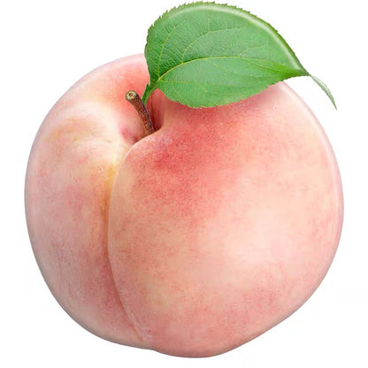 Seasonal Fruits Phone Socket by Veronique