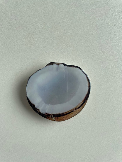 Seasonal Fruits Phone Socket by Veronique