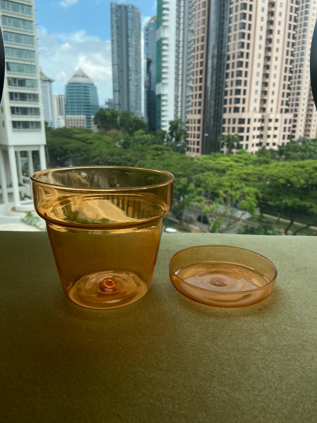 Sunbeam Glass Planter by PROSE Botanical