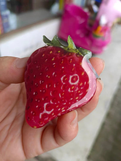 Seasonal Fruits Phone Socket by Veronique